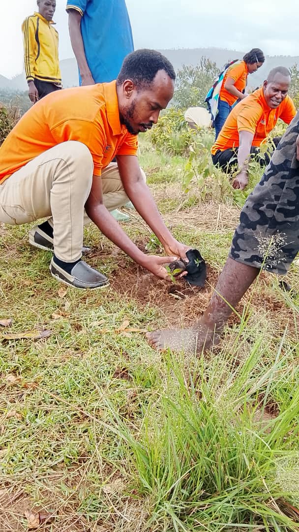 REFORESTATION IN BURUNDI, A SURVIVAL CHOICE